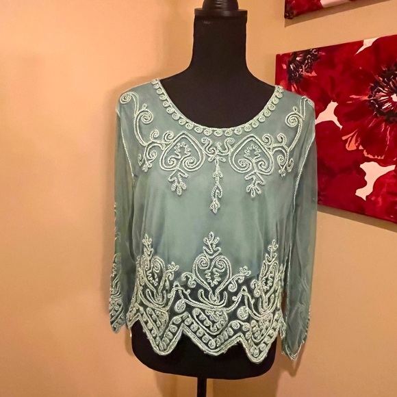 Pretty Angel Boho Mesh Crop Top Silk Blend Sheer Embroidered Long Sleeves, Large - Picture 1 of 6